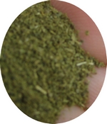 Moringa-Pulver Moringa-Pulver